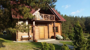 Kaszubskie Zacisze dom nad jeziorem, sauna, balia ogrodowa